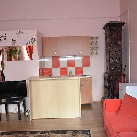 Cosy Studio Apartman Kolozsvár